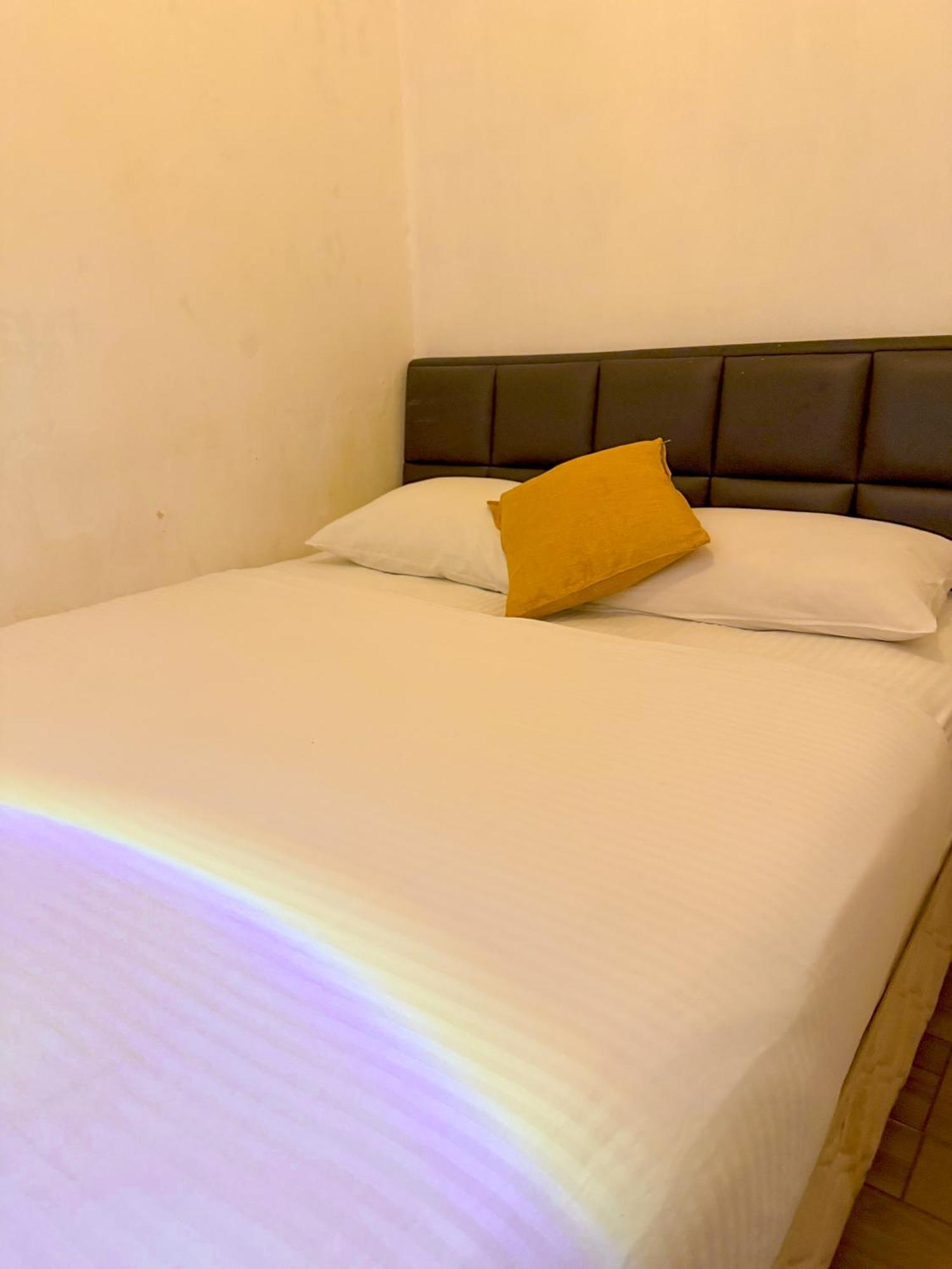 Homestay Tonight